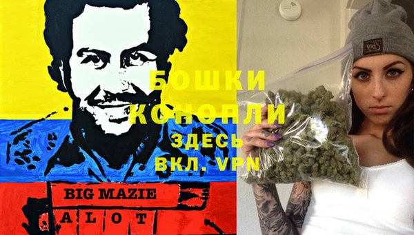 PSILOCYBIN Наволоки