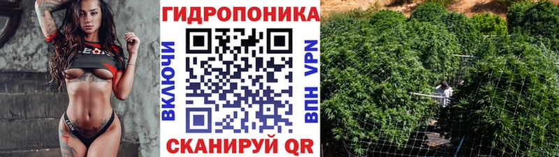mega tor  Каневская  Бошки марихуана семена 