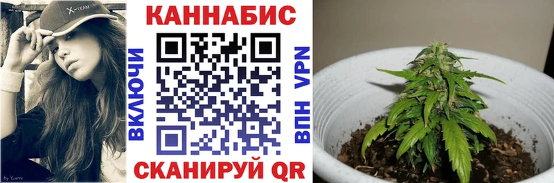 Бошки марихуана OG Kush Каневская